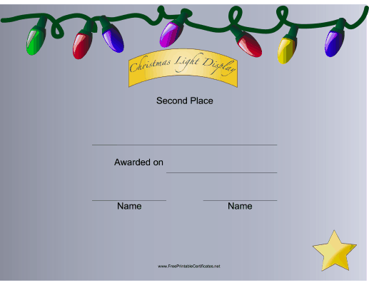 Christmas Lights 2nd Place