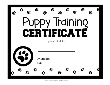 Puppy Training