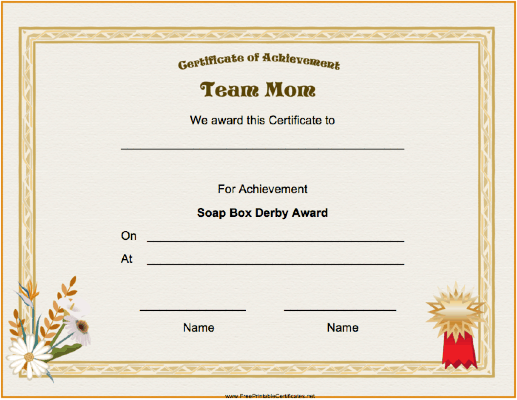 Team Mom