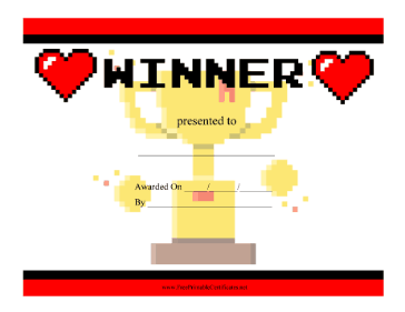Video Game Winner