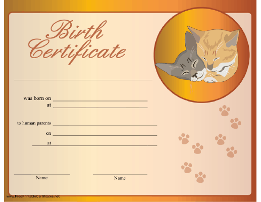 Cat Birth