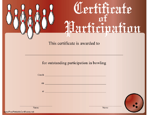 Bowling Participation