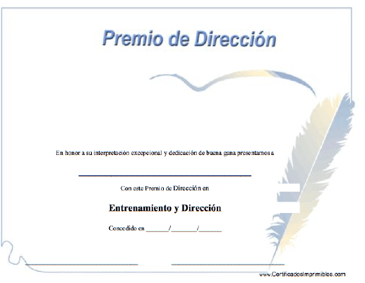 Premio de Dirección