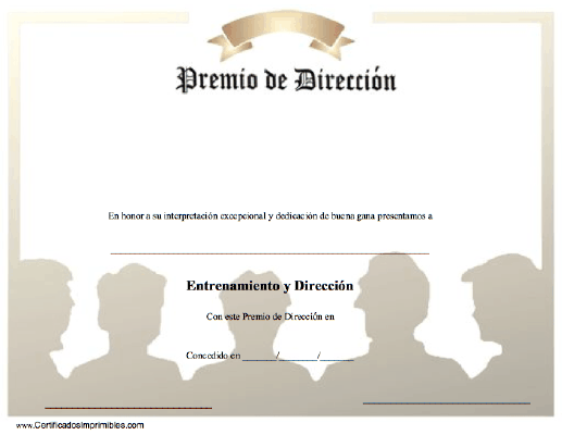 Premio de Dirección