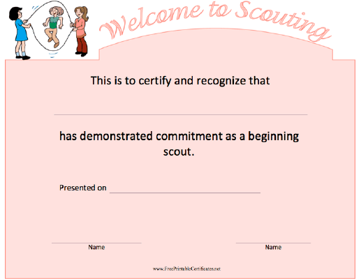 Welcome To Scouting
