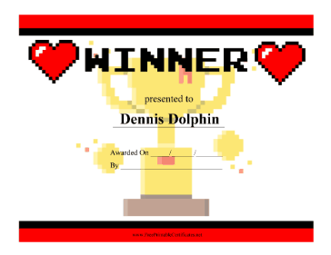 Video Game Winner certificate