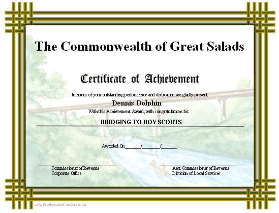 Achievement - Scouts Bridging certificate