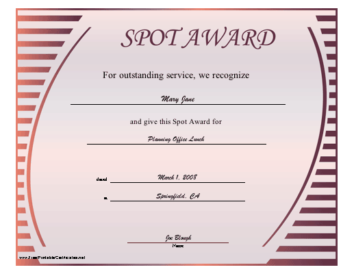 Spot Award certificate