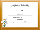 Friendship