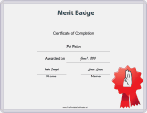 Scout Merit Badge