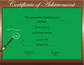 Teaching Assistant Excellence