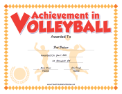 Volleyball