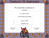 Wheelchair Basketball