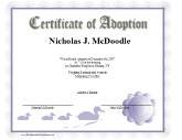 Adoption
