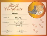 Cat Birth