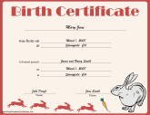 Rabbit Birth