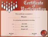 Bowling Participation