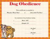 Dog Obedience
