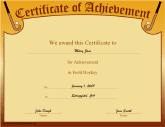 Achievement in Hockey