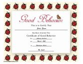 Good Behavior