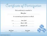 Softball Participation
