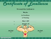 Wrestling Excellence