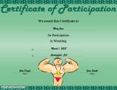 Wrestling Participation